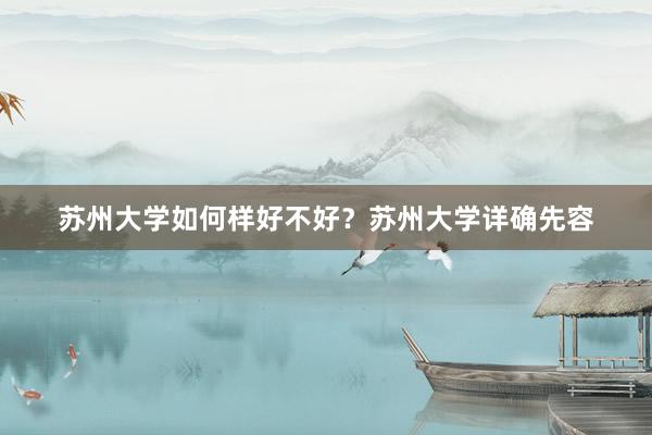 苏州大学如何样好不好？苏州大学详确先容