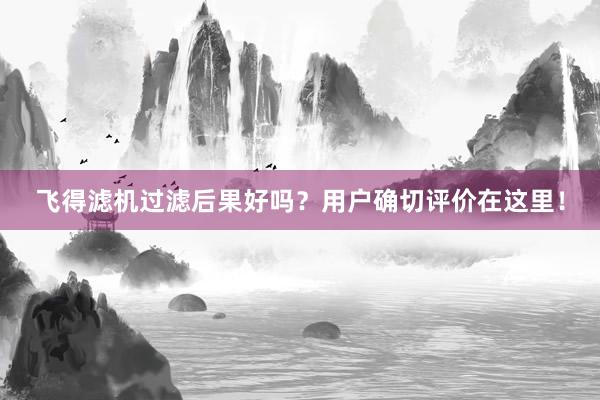 飞得滤机过滤后果好吗？用户确切评价在这里！